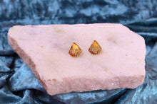 Load image into Gallery viewer, Titanium Shimmer Shell Studs