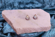 Load image into Gallery viewer, Titanium Shimmer Shell Studs