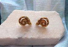 Load image into Gallery viewer, Shell Titanium Chunky Earrings