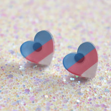 Load image into Gallery viewer, 2025 Pride Donation Studs +Pins