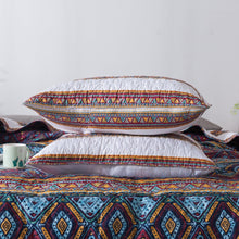 Load image into Gallery viewer, DaDa Bedding Southwestern Aztec Bohemian Desert Tribal Quilted Bedspread Set (KSX-002)