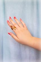 Load image into Gallery viewer, Titanium Snake Ring