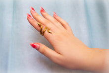 Load image into Gallery viewer, Titanium Snake Ring
