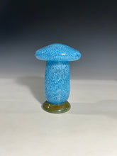 Load image into Gallery viewer, Mushroom Jar