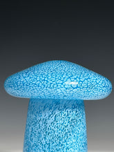 Load image into Gallery viewer, Mushroom Jar