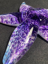 Load image into Gallery viewer, La Jolla Cove Starfish