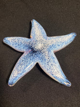 Load image into Gallery viewer, La Jolla Cove Starfish