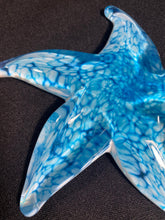 Load image into Gallery viewer, Cool Aqua