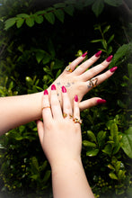 Load image into Gallery viewer, Rose Titanium Ring