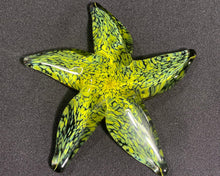 Load image into Gallery viewer, Dappled Sunshine Starfish