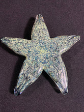 Load image into Gallery viewer, Tide Pool Green Barnacle Starfish