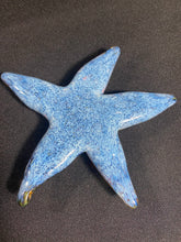 Load image into Gallery viewer, Tide Pool Amber Barnacle Starfish