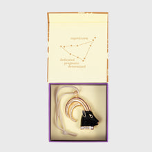 Load image into Gallery viewer, Capricorn hanging ornament