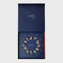 Load image into Gallery viewer, Zodiac wine charm gift set