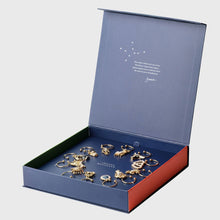 Load image into Gallery viewer, Zodiac wine charm gift set