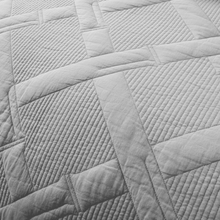 Load image into Gallery viewer, Tache Cotton Light Grey Silver Soothing Pastel Cushion Covers / Euro Sham (JHW-862)