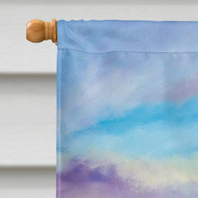 Load image into Gallery viewer, Horn Island Sailboat Race Flag Canvas House Size JMK1159CHF