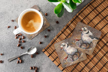 Load image into Gallery viewer, Piping Plover Coasters - Set of 4 Lightweight Foam, Absorbent Drink Coasters JMK1215FC