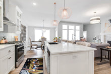 Load image into Gallery viewer, Black Pelicans Floor Runner Mats – 28x58 Indoor/Outdoor Rugs with Artistic Design | Made in the USA JMK1343HRM2858