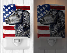 Load image into Gallery viewer, USA American Flag with Flat Coated Retriever Ceramic Night Light LH9021CNL