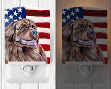 Load image into Gallery viewer, USA American Flag with Newfoundland Ceramic Night Light LH9024CNL