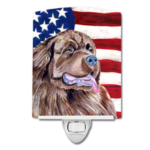 Load image into Gallery viewer, USA American Flag with Newfoundland Ceramic Night Light LH9024CNL