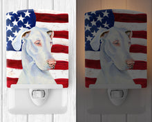 Load image into Gallery viewer, USA American Flag with Great Dane Ceramic Night Light LH9026CNL