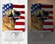 Load image into Gallery viewer, USA American Flag with Leonberger Ceramic Night Light LH9032CNL