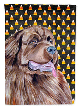 Load image into Gallery viewer, Newfoundland Candy Corn Halloween Portrait Flag Canvas House Size