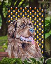 Load image into Gallery viewer, Newfoundland Candy Corn Halloween Portrait Garden Flag – Decorative Outdoor Yard Flag