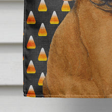 Load image into Gallery viewer, Dachshund Candy Corn Halloween Portrait Flag Canvas House Size