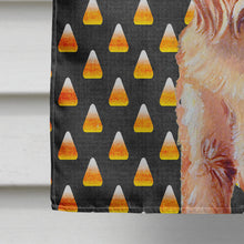 Load image into Gallery viewer, Brussels Griffon Candy Corn Halloween Portrait Flag Canvas House Size