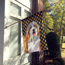 Load image into Gallery viewer, Bearded Collie Candy Corn Halloween Portrait Flag Canvas House Size