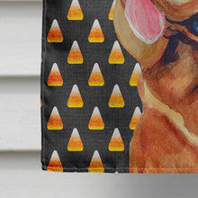 Load image into Gallery viewer, Bloodhound Candy Corn Halloween Portrait Flag Canvas House Size