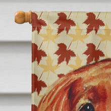Load image into Gallery viewer, Irish Setter Fall Leaves Portrait Flag Canvas House Size