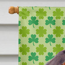 Load image into Gallery viewer, Dachshund St. Patrick's Day Shamrock Portrait Flag Canvas House Size
