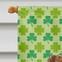 Load image into Gallery viewer, Australian Shepherd St. Patrick's Day Shamrock Portrait Flag Canvas House Size