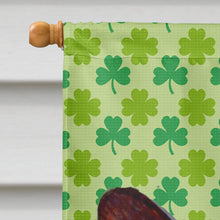 Load image into Gallery viewer, Corgi St. Patrick's Day Shamrock Portrait Flag Canvas House Size