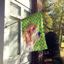 Load image into Gallery viewer, Petit Basset Griffon Vendeen St. Patrick's Day Shamrock  Flag Canvas House Size