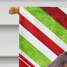 Load image into Gallery viewer, Dachshund Candy Cane Holiday Christmas  Flag Canvas House Size