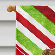 Load image into Gallery viewer, Australian Shepherd Candy Cane Holiday Christmas  Flag Canvas House Size