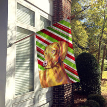 Load image into Gallery viewer, Vizsla Candy Cane Holiday Christmas  Flag Canvas House Size