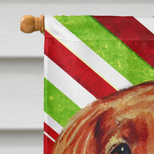 Load image into Gallery viewer, Irish Setter Candy Cane Holiday Christmas  Flag Canvas House Size