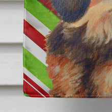 Load image into Gallery viewer, Dachshund Candy Cane Holiday Christmas  Flag Canvas House Size