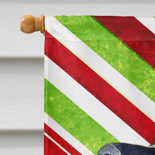 Load image into Gallery viewer, Leonberger Candy Cane Holiday Christmas  Flag Canvas House Size