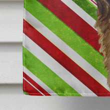 Load image into Gallery viewer, Leonberger Candy Cane Holiday Christmas  Flag Canvas House Size