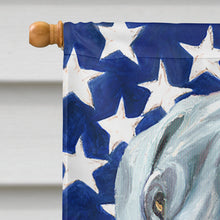 Load image into Gallery viewer, Great Dane USA Patriotic American Flag Flag Canvas House Size LH9542CHF