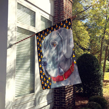 Load image into Gallery viewer, Great Dane Candy Corn Halloween Flag Canvas House Size LH9549CHF