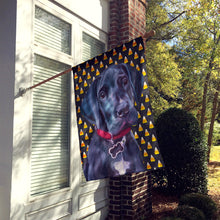 Load image into Gallery viewer, Black Great Dane Puppy Candy Corn Halloween Flag Canvas House Size LH9551CHF