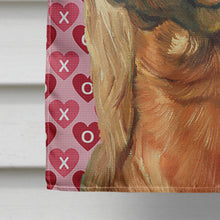 Load image into Gallery viewer, Irish Setter Hearts Love and Valentine's Day Flag Canvas House Size LH9562CHF